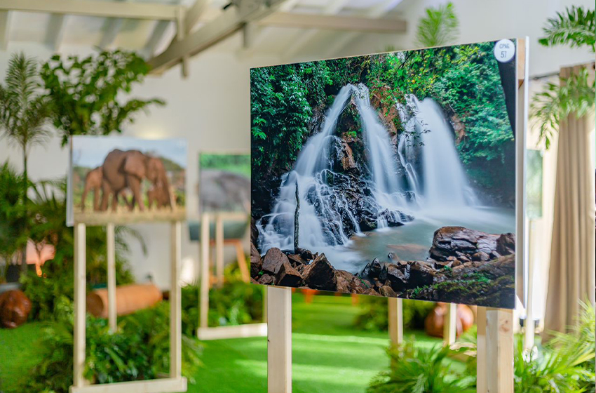 Photographie : la biodiversité gabonaise exposée en Europe