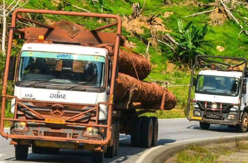 Transport : le gouvernement suspend les dérogations accordées aux grumiers