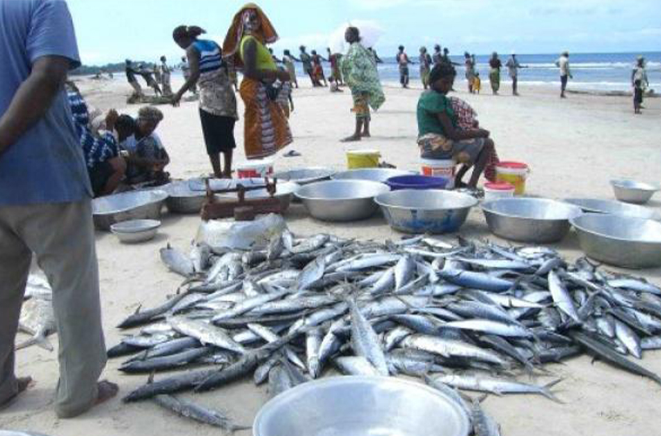 Pillage maritime : la France va accompagner le Gabon à sécuriser ses poissons