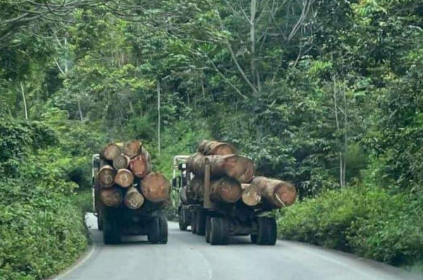 Gabon : La circulation des poids lourds interdite du 25 au 27 août en raison des élections