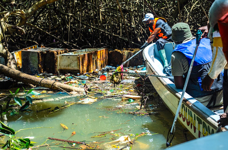 Pollution plastique des cours d’eau : une menace pour les ressources halieutiques ?