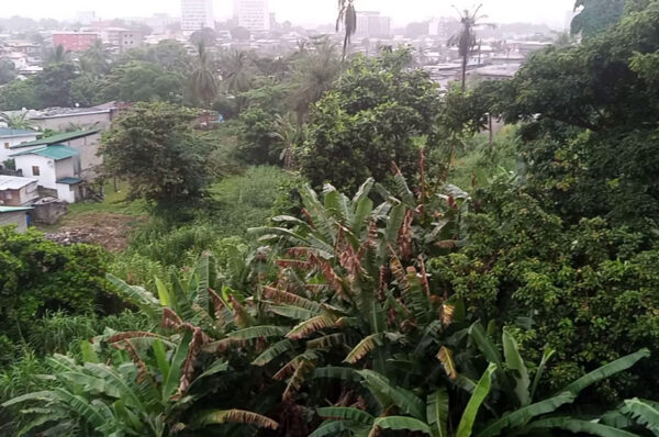 Enfin la pluie sur le Grand Libreville !