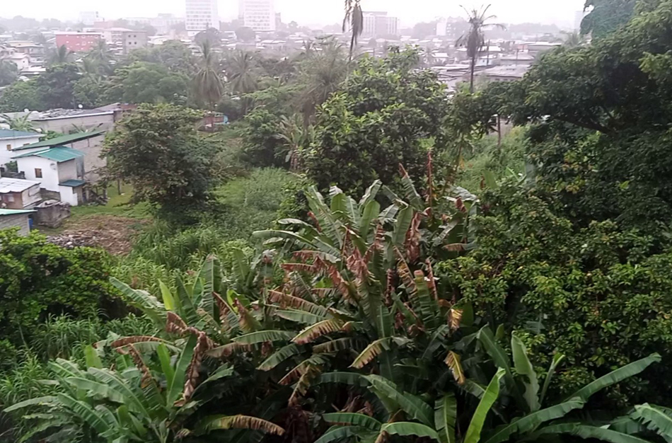 Enfin la pluie sur le Grand Libreville !