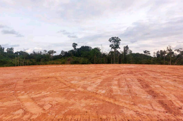 Foncier : 500 parcelles de 500 m2 mises en vente à Igoumié