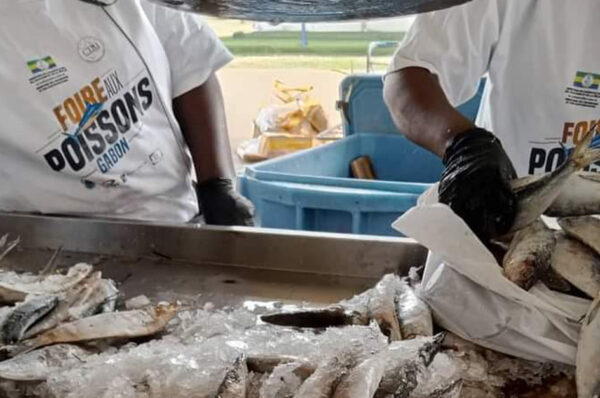 Vers la tenue d’une deuxième foire aux poissons à Libreville