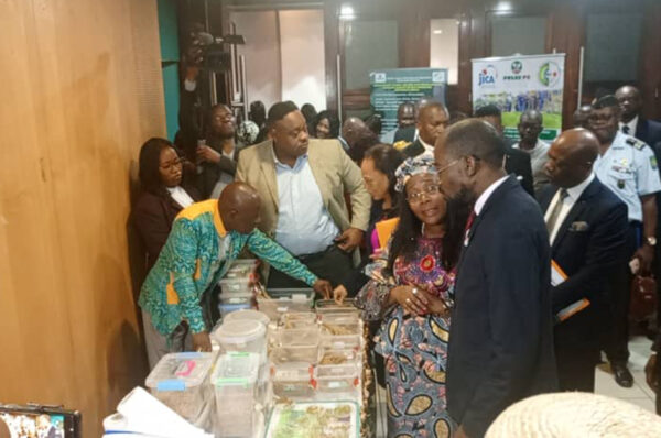 Agriculture : du riz “made in Gabon” pour en finir avec les importations