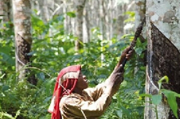 Agro Business Group : vague de licenciements ?