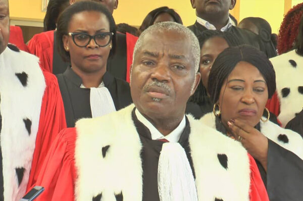 Synamag : le bureau va changer