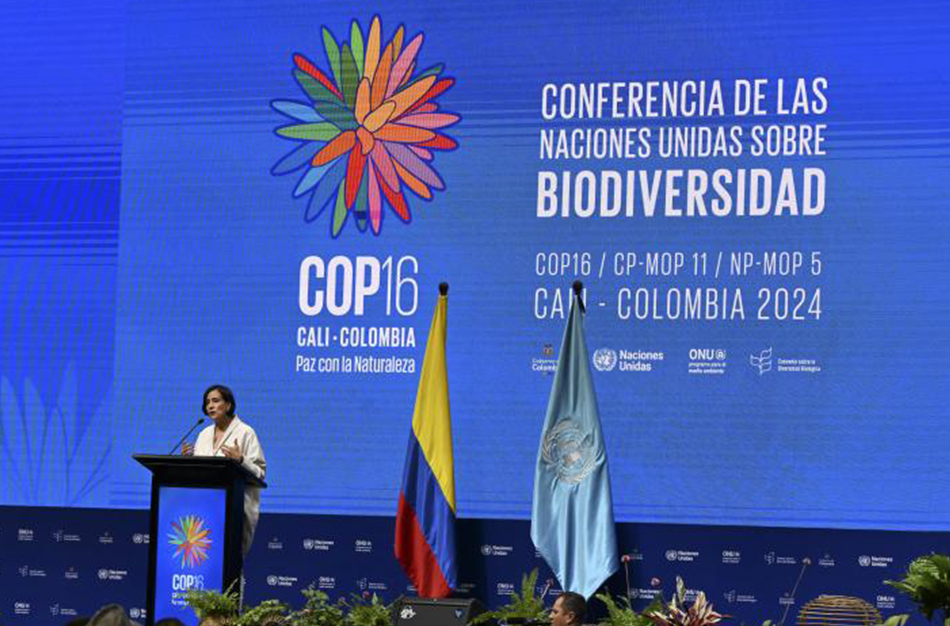 Environnement : La COP16 sur la biodiversité s’ouvre à Cali, Colombie