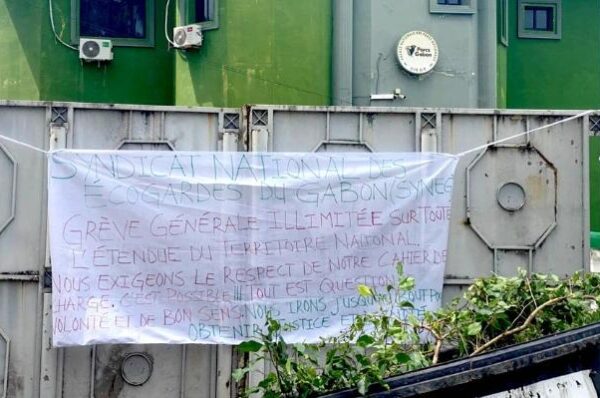 Grève des écogardes de l’ANPN : un mois de salaire versé, mais le mouvement continue