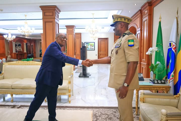 Activité présidentielle : audience entre le chef de l’État et le Professeur Albert Ondo Ossa