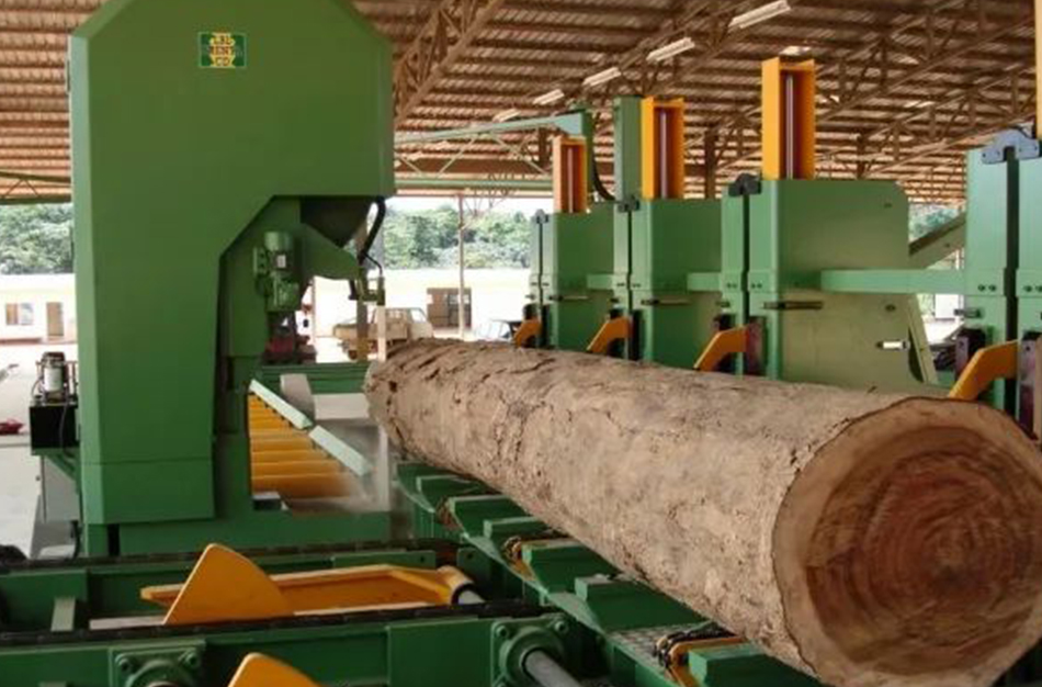 Gabon/Secteur forestier : l’indice global des activités industrielles en hausse de 4% au troisième trimestre
