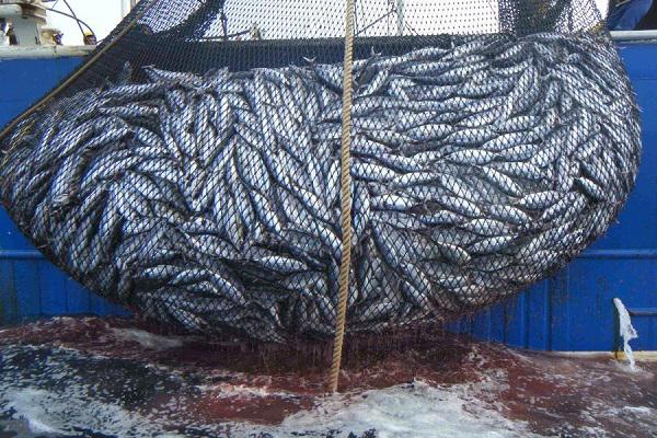 Gabon : lutte contre la pêche illicite