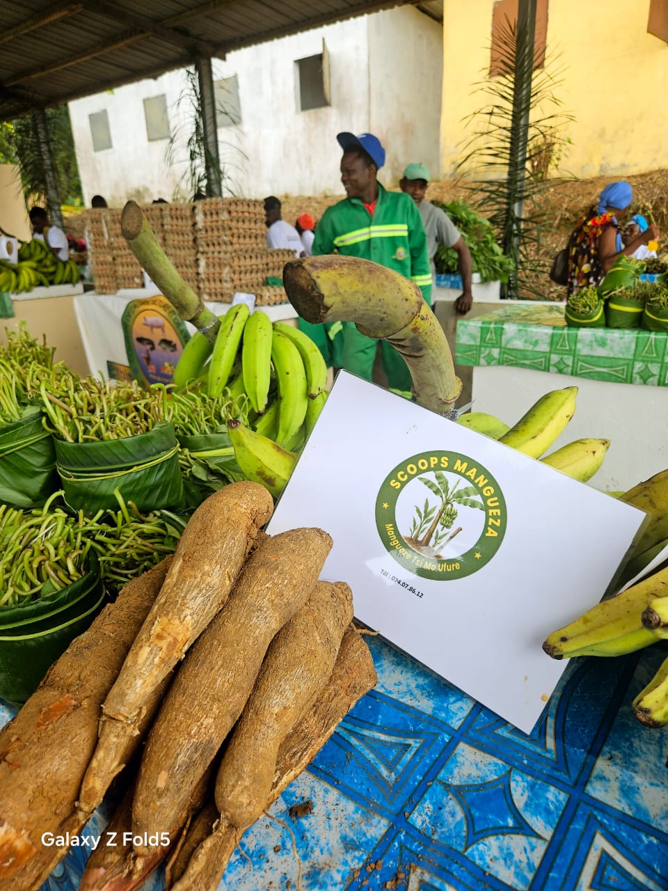 Olam Palm Gabon, aux côtés des coopératives de Kango pour une agriculture vivrière forte