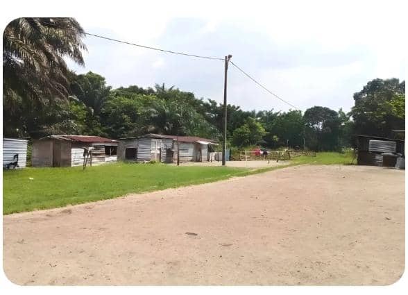 ‎‎Tragédie à Léconi : Un enfant décède après avoir ingéré un remède traditionnel‎