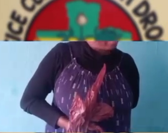 Ngounié : deux individus, dont une femme âgée de 50 ans, arrêtés avec des stupéfiants