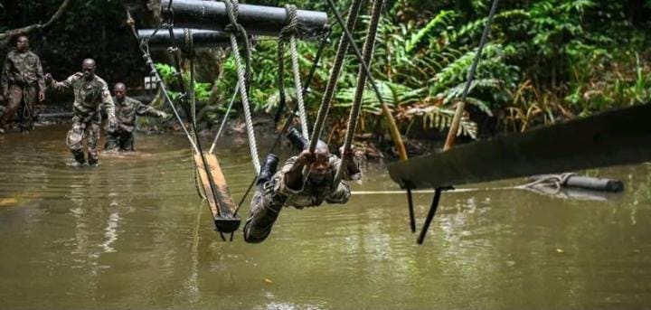 ‎Défense/APERN : 57 stagiaires de l&rsquo;ENFOMA formés à la lutte contre la criminalité environnementale‎