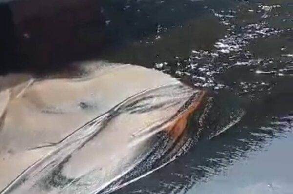 ‎‎Port‑Gentil : une pollution d’hydrocarbures signalée dans la ville pétrolière‎