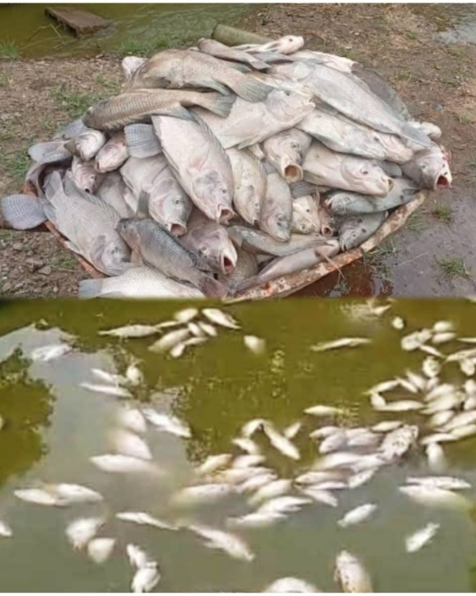 ‎Lébamba : Qui en veut au Général Flavien Nzengui Nzoundou ?‎