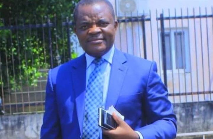 ‎‎Woleu-Ntem : un conseiller départemental meurt après une attaque d’abeilles dans sa plantation‎