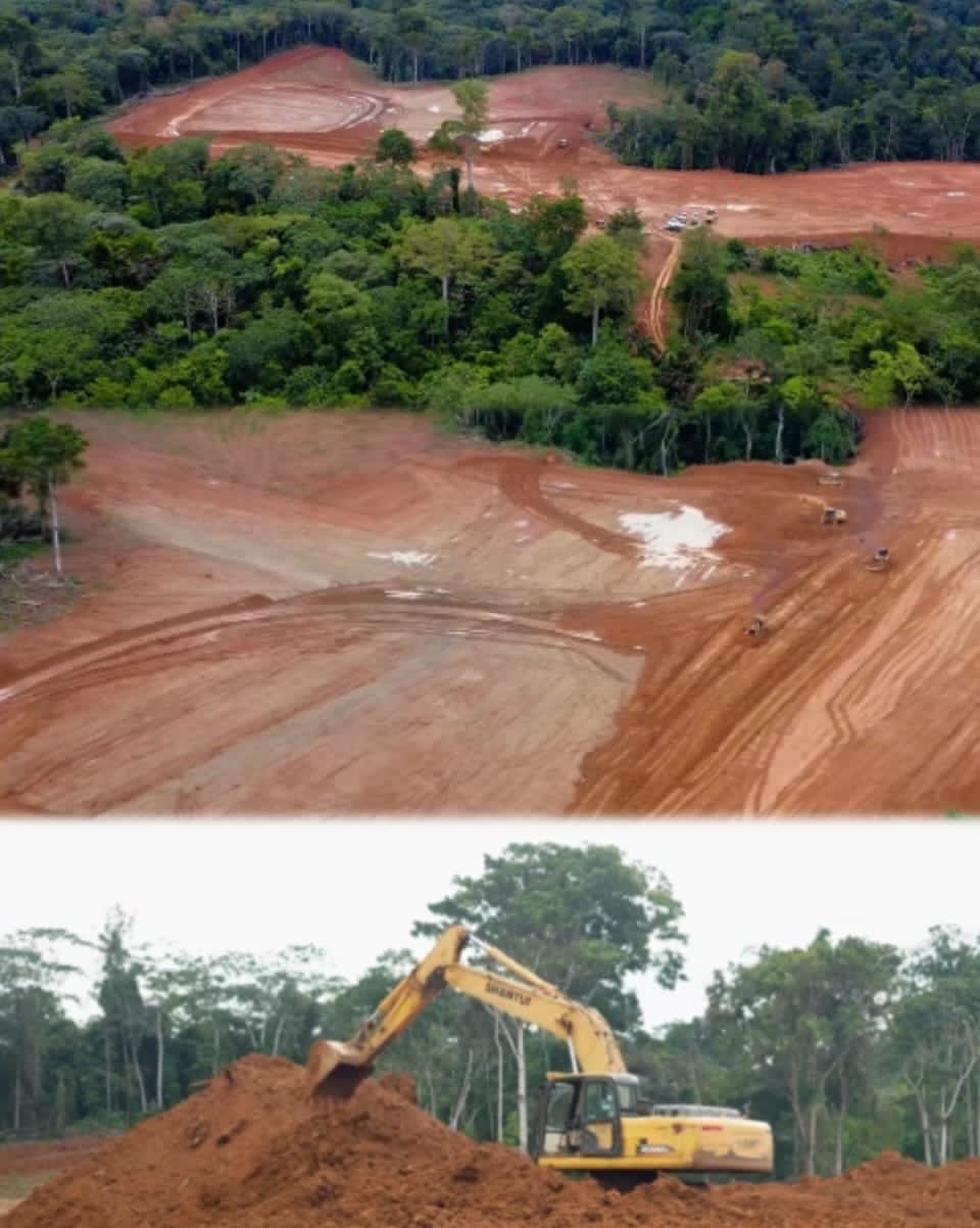 ‎‎SOGADA/Production de poulet de chair : le projet ambitieux se dessine au fil des mois‎