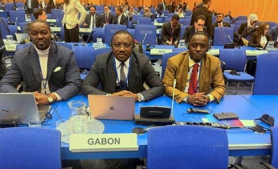 ‎17e session CNUCC : le Gabon partage son expérience sur la performance du mécanisme d&rsquo;examen