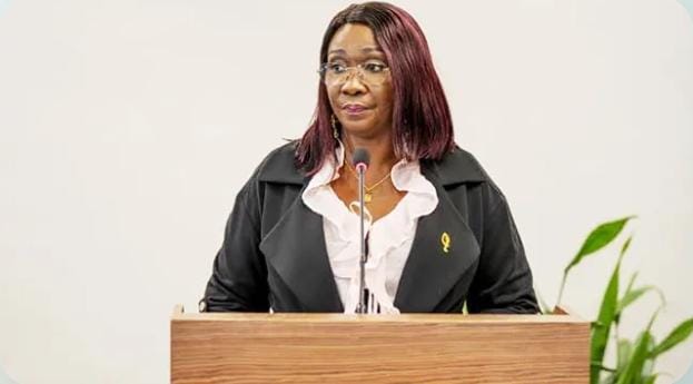 ‎‎Le gouvernement gabonais sur la voie de la baisse des prix des billets d&rsquo;avion pour relancer le tourisme‎