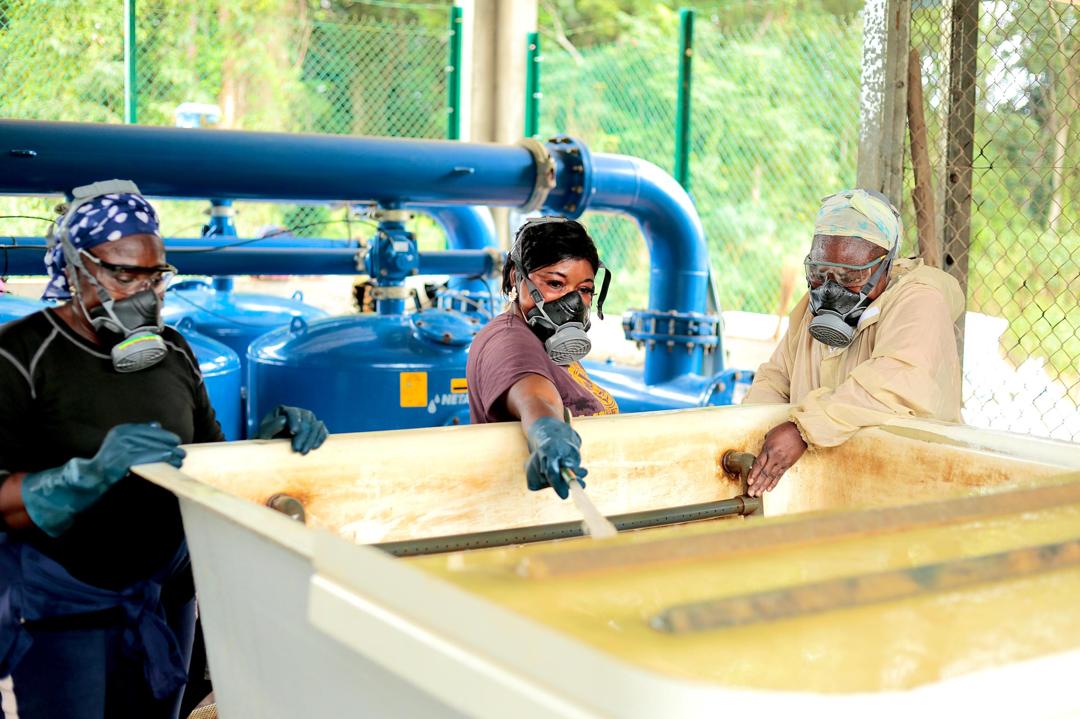 Olam Palm Gabon : plus de 7 000 hectares irrigués grâce à un dispositif unique en Afrique