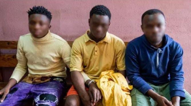 Bitam : trois Camerounais au gnouf pour braquage à l&rsquo;explosif